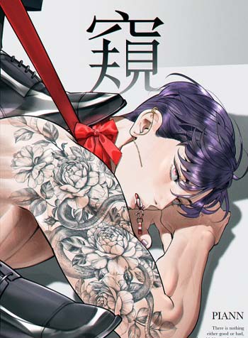 truyen-pry-trom-nhin