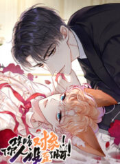 cong-luoc-doi-tuong-hinh-tuong-cua-cau-sap-roi-