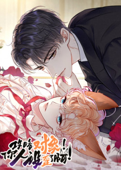 cong-luoc-doi-tuong-hinh-tuong-cua-cau-sap-roi-