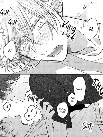 17-syrups-1761135301-1